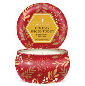 Holiday Spiced Toddy | 9oz Travel Tin Candle