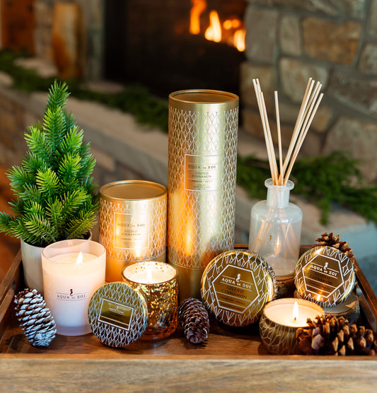 Gilded Cinnamon | 9oz Luxe Box - Holiday Magic