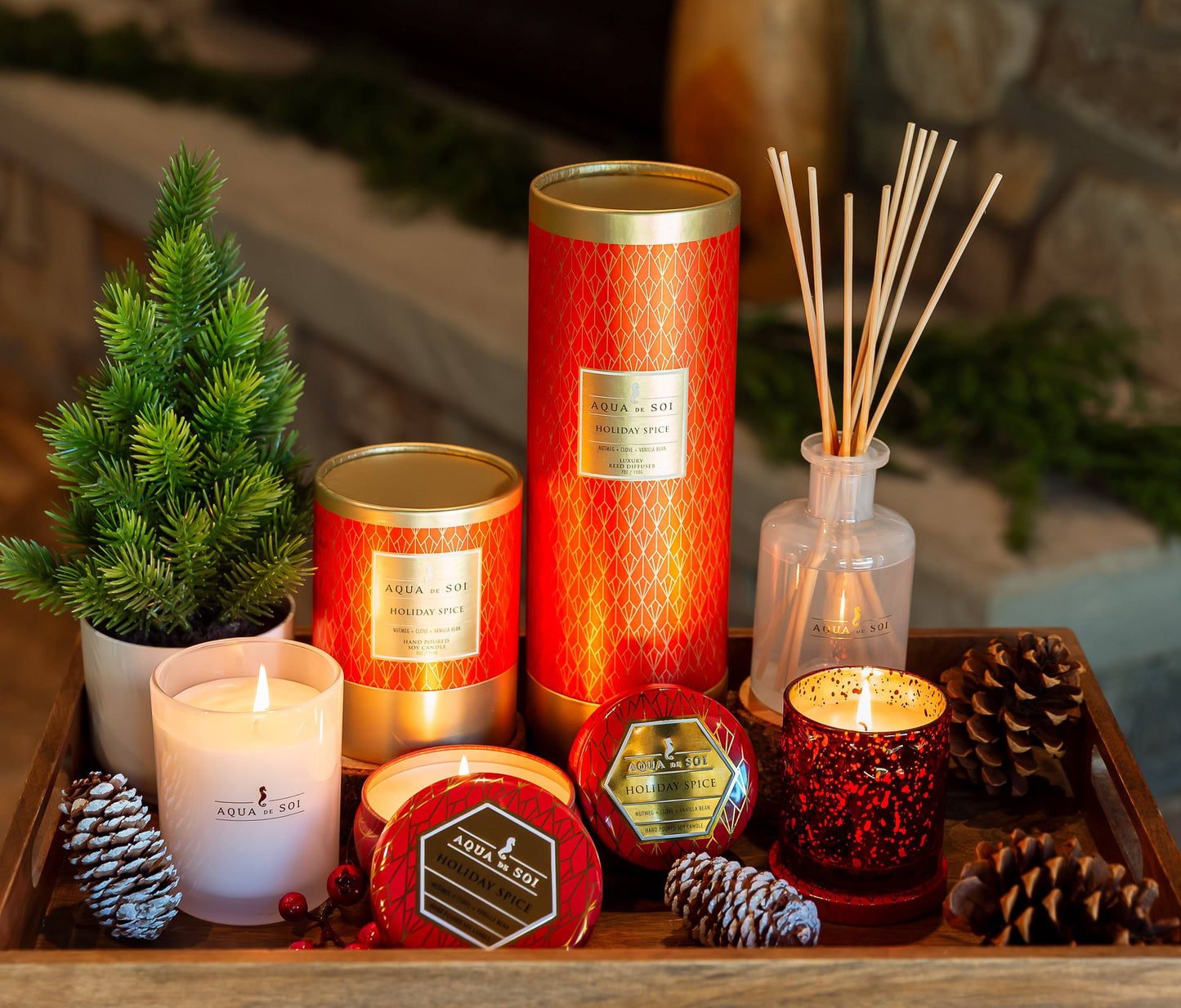 Holiday Spice | 9oz Travel Tin