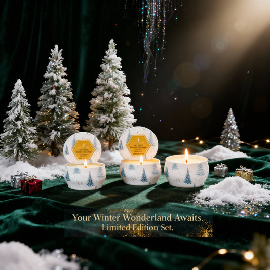 Winter Wonderland Trio | 9oz Travel Tin (x3)