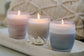 Lavender Vanilla 13oz